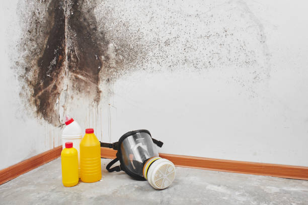 Best Preventive Mold Services in Copperton, UT